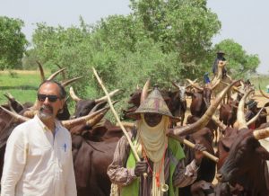 Social & Institutional Determinants of Vulnerability & Resilience to Climate Hazards in the Sahel